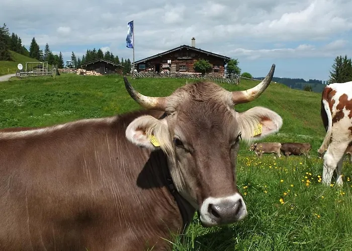 בית חווה Baldauf Immenstadt im Allgäu